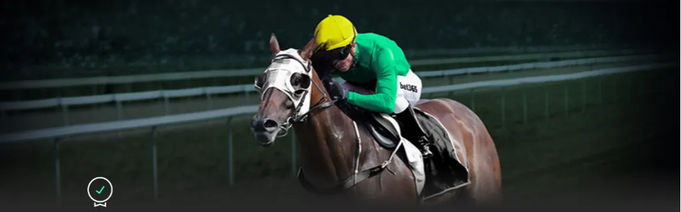 维尼修斯雕,像亮相瓦伦,法雅节,澳门金沙赌场在线官网,澳门金沙赌场在线品牌,澳门金沙赌场在线精彩,澳门金沙赌场在线